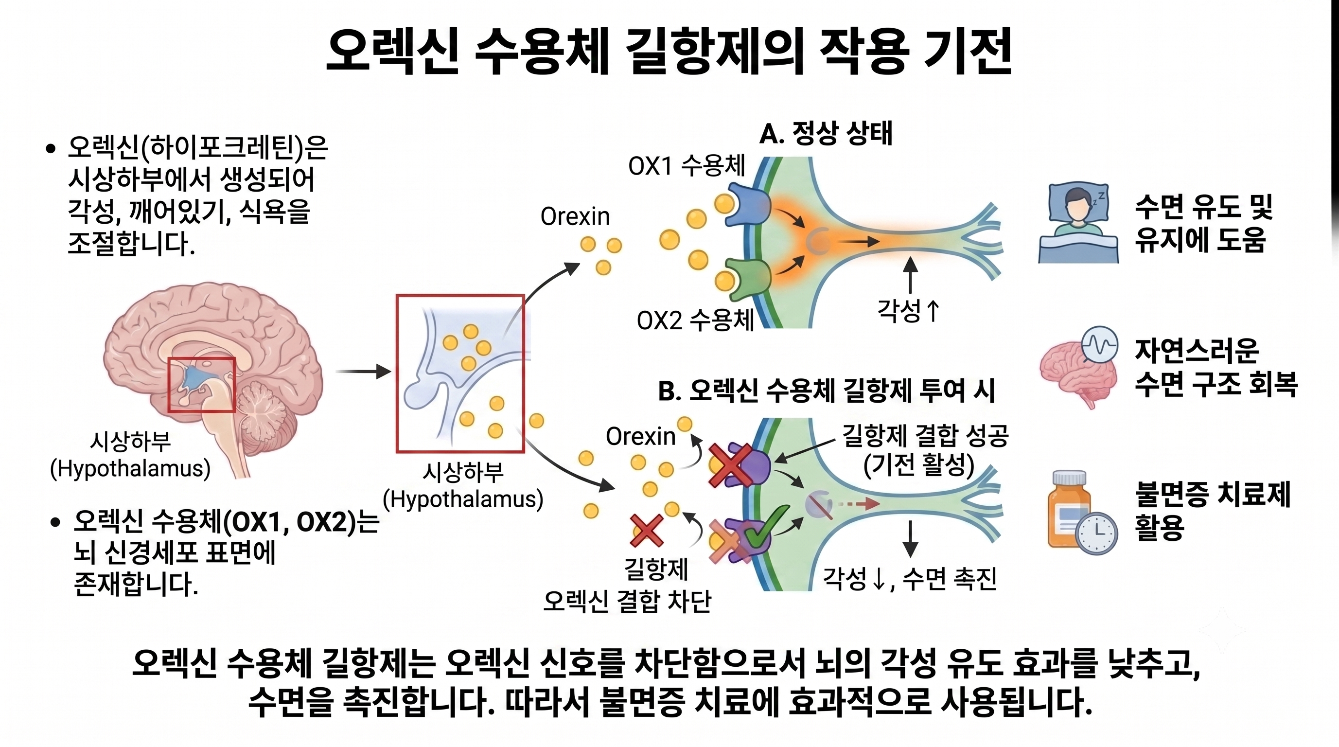 불면증 치료제 신약 "데이비고(Dayvigo)" 처방, 비급여여도 환자들이 기대하는 이유 (feat. 쿠비빅(QUVIVIQ) 소식)