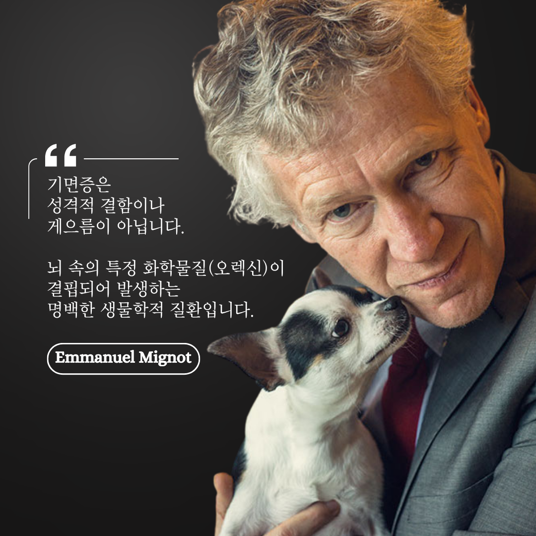 [김재하 원장 칼럼] 낮에 쏟아지는 잠과 탈력발작, 스탠퍼드 수면의학으로 풀어보는 기면증 검사 이야기 (인천수면다원검사 병원, 인천기면증)