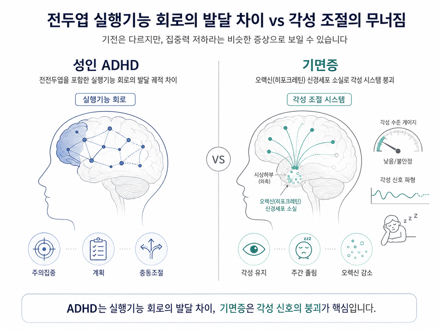 밤샘 졸음 '기면증' vs 산만한 '성인 ADHD', 다른 듯 닮은 두 질환의 동시 진료가 중요한 이유